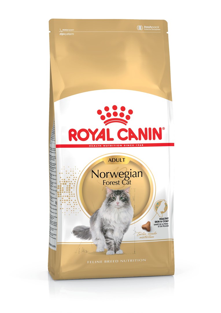 Royal Canin Norwegian Forest Cat Adult suché krmivo pro kočky 10 kg Drůbež
