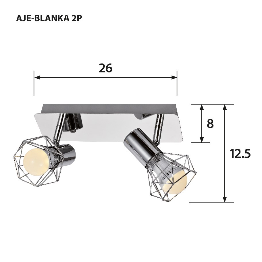 Activejet AJE-BLANKA 2P stropní osvětlení Stříbrná E14