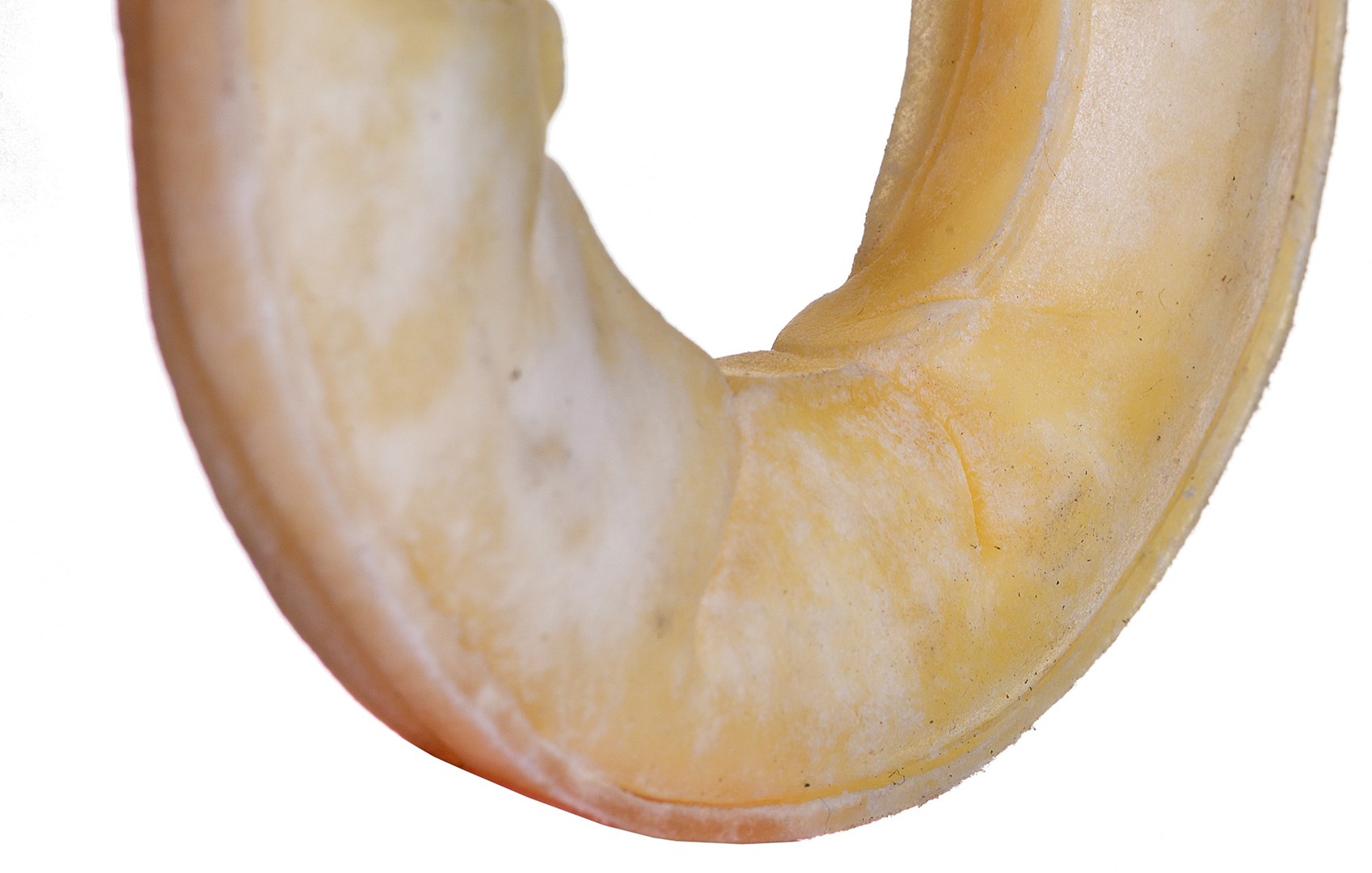 MACED Kroužek lisovaný bílý - žvýkačka pro psy - 7 cm