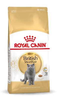 Royal Canin British Shorthair Adult suché krmivo pro kočky 4 kg Dospělý jedinec