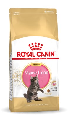 Royal Canin Maine Coon Kitten suché krmivo pro kočky Kotě 10 kg