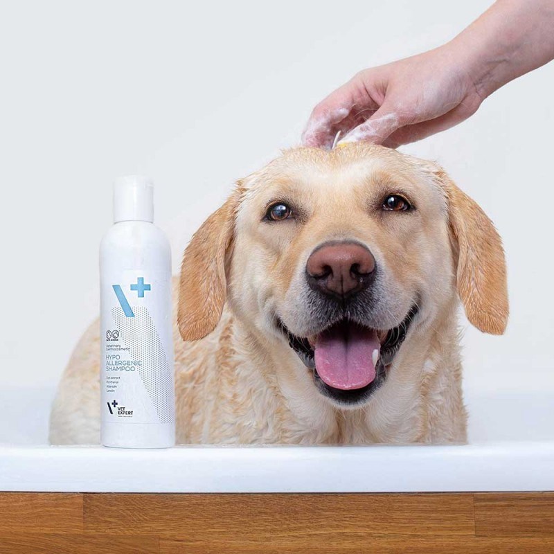 VetExpert Hypoallergenic Shampoo - Pielęgnacja dla psów i kotów - 250ml - 12