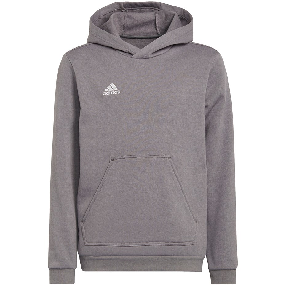 Otroška jopa adidas Entrada 22 Hoody, siva, 152cm
