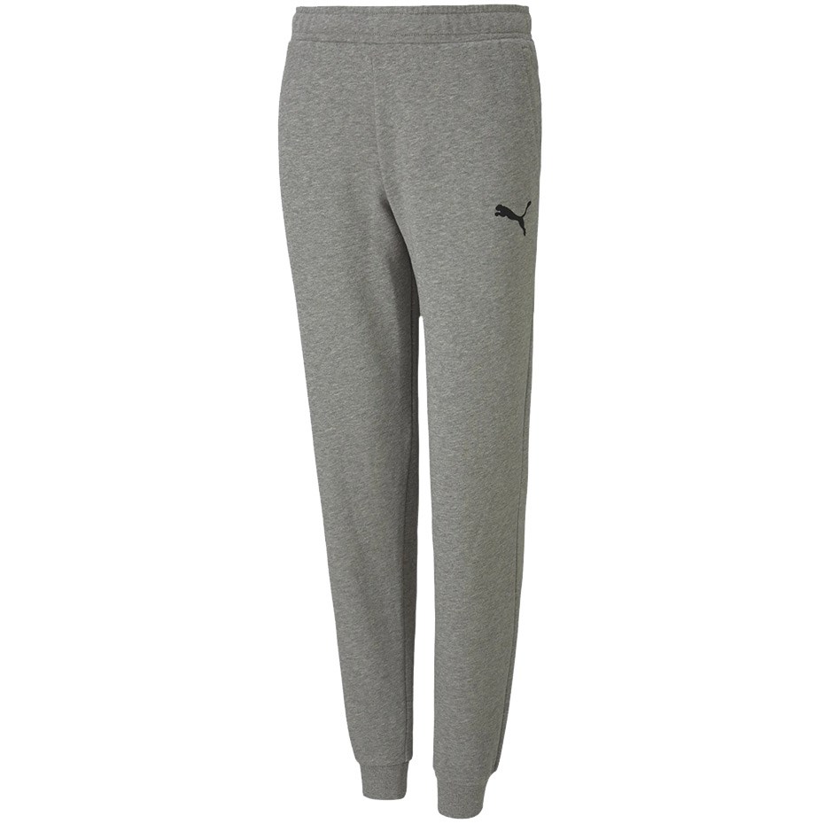 Puma teamGOAL 23 Casual Hlače Jr Siva 656713 33 140