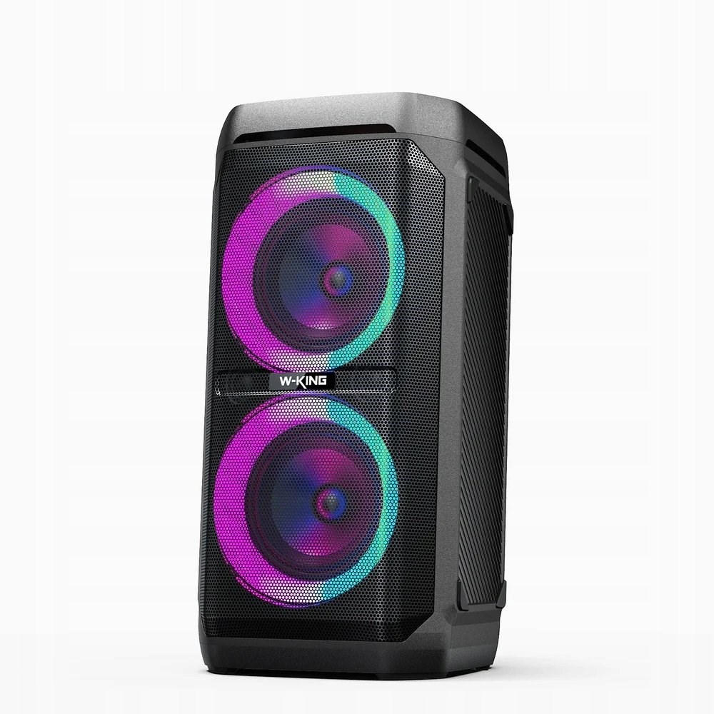 W-KING T11 Prenosni Bluetooth stereo zvočnik, 100W, črn