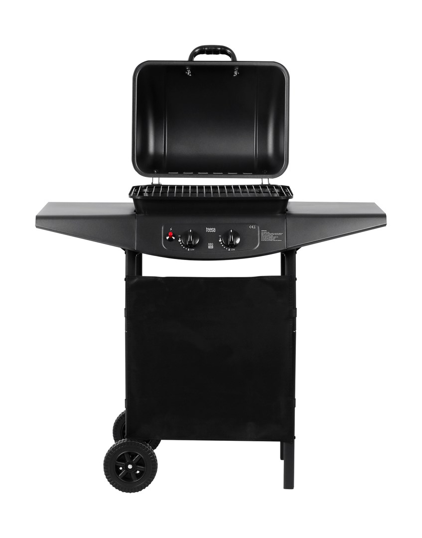 Plinski žar Teesa BBQ 2000 z 2 gorilnikoma