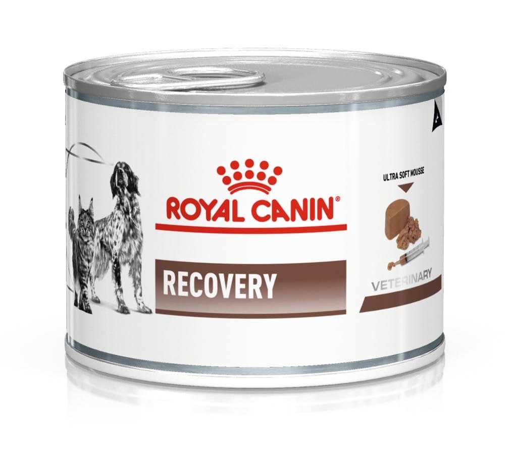 ROYAL CANIN Recovery mokra hrana za pse in mačke, 195 g