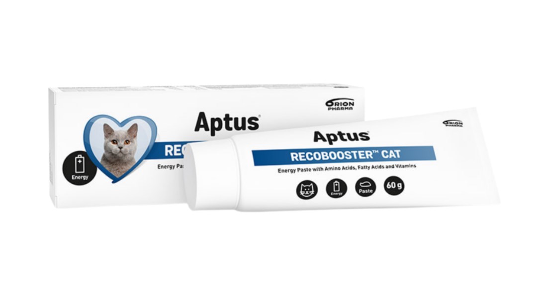 APTUS Recobooster - pasta za mačke za zdravljenje in apetit, 60 g