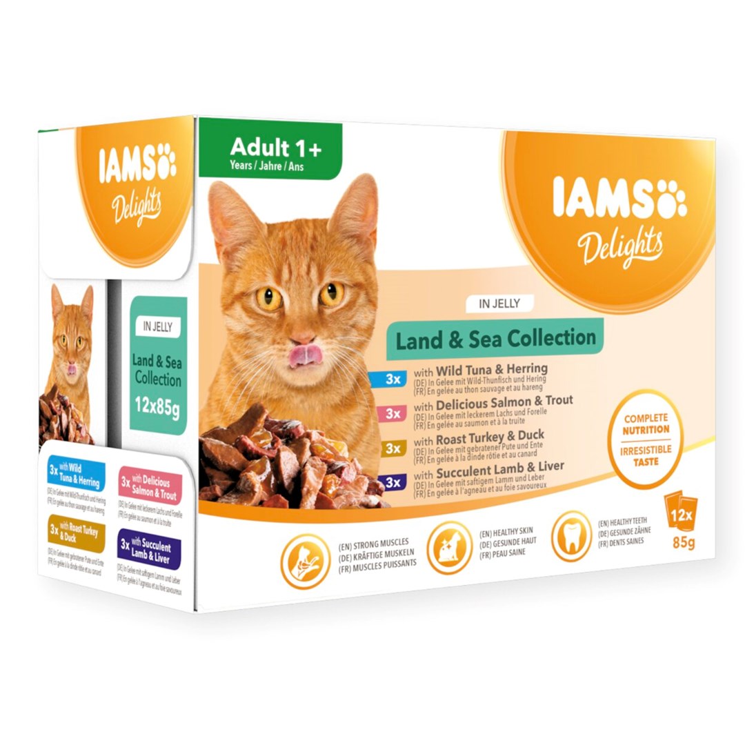 IAMS Delights Kopno & Morje v želeju - mokra hrana za mačke - 12 x 85 g