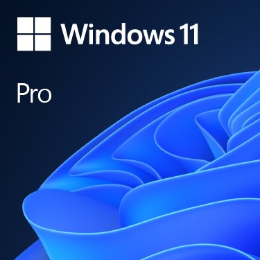 Microsoft Windows 11 Pro OEM licenca DVD