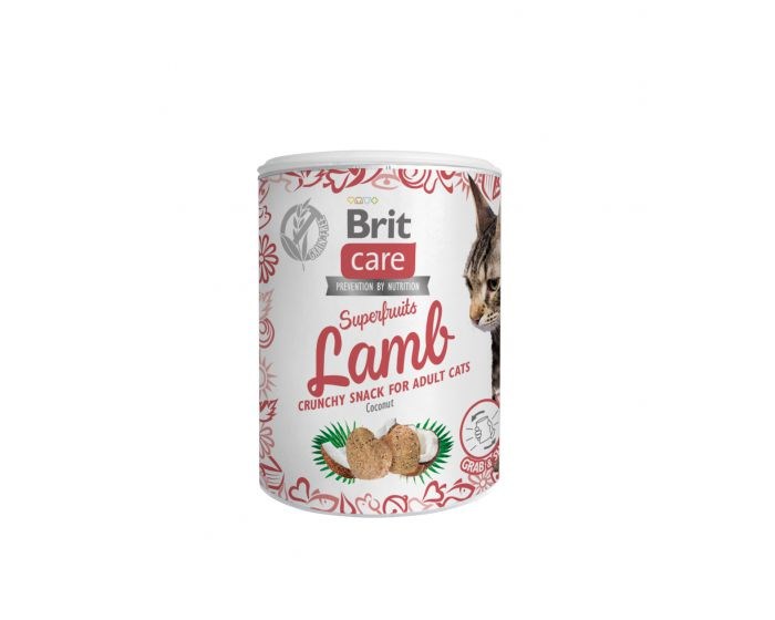 BRIT Care Pasji priboljški Superfruits Lamb - 100 g