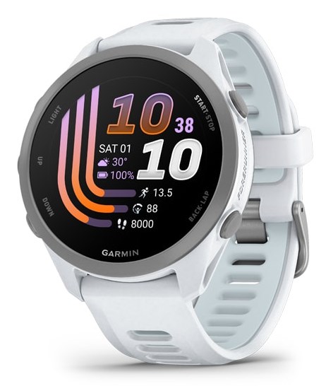 Garmin Forerunner 170 3.05 cm