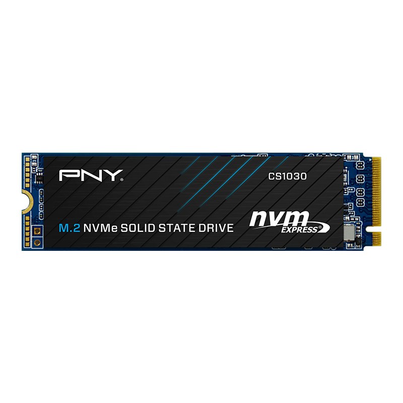 PNY Technologies PNY CS1030 500 GB