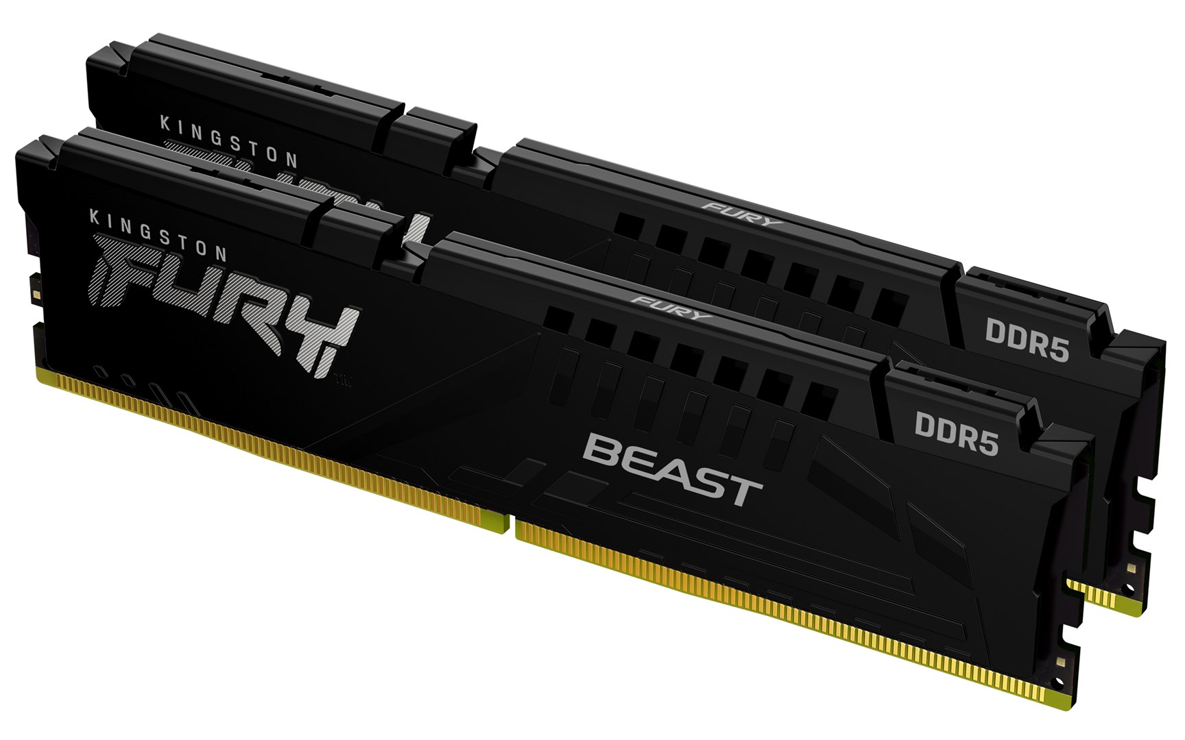 Kingston Technology FURY Beast 64GB 5600MT/s