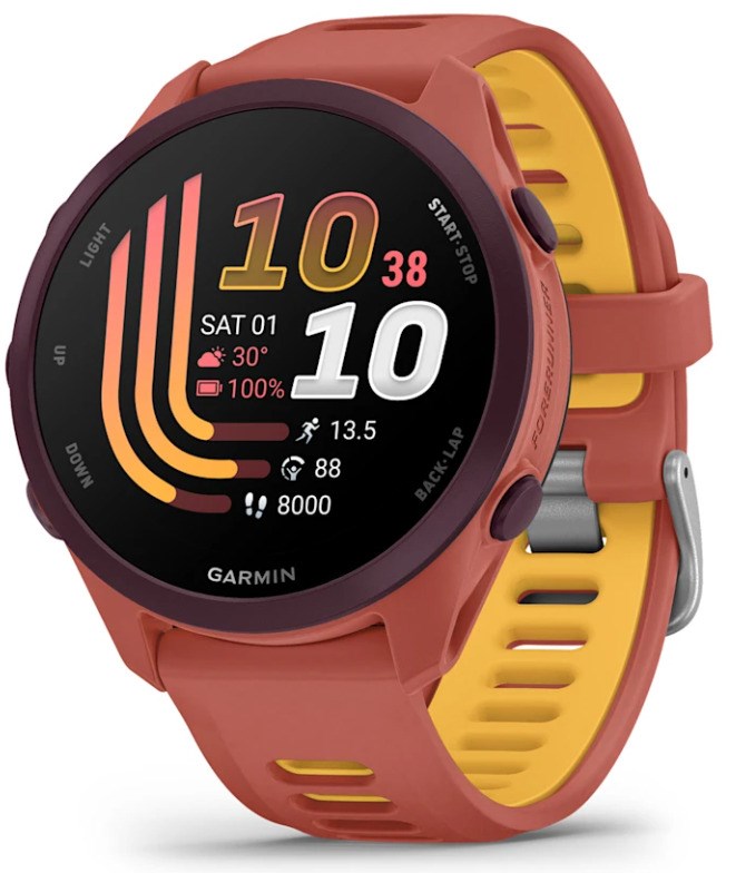 Garmin Forerunner 170 Music 3.05