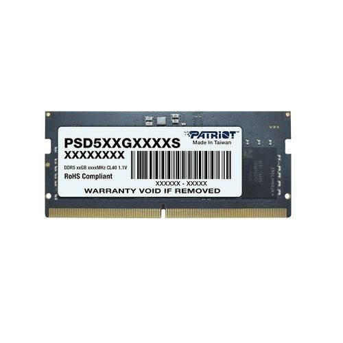 Patriot Memory Signature PSD516G560081S atmiņas modulis