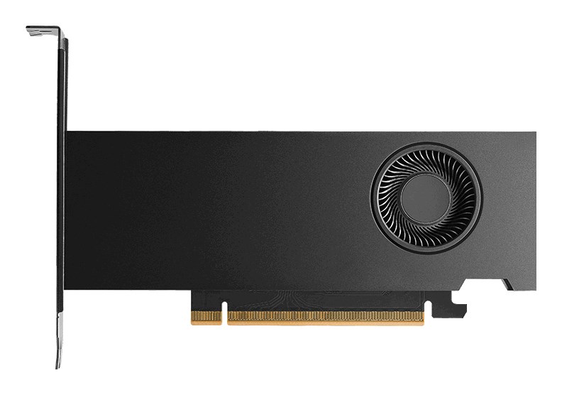 NVIDIA PNY RTX PRO 2000 Blackwell - 16 GB GDDR7 graphics card