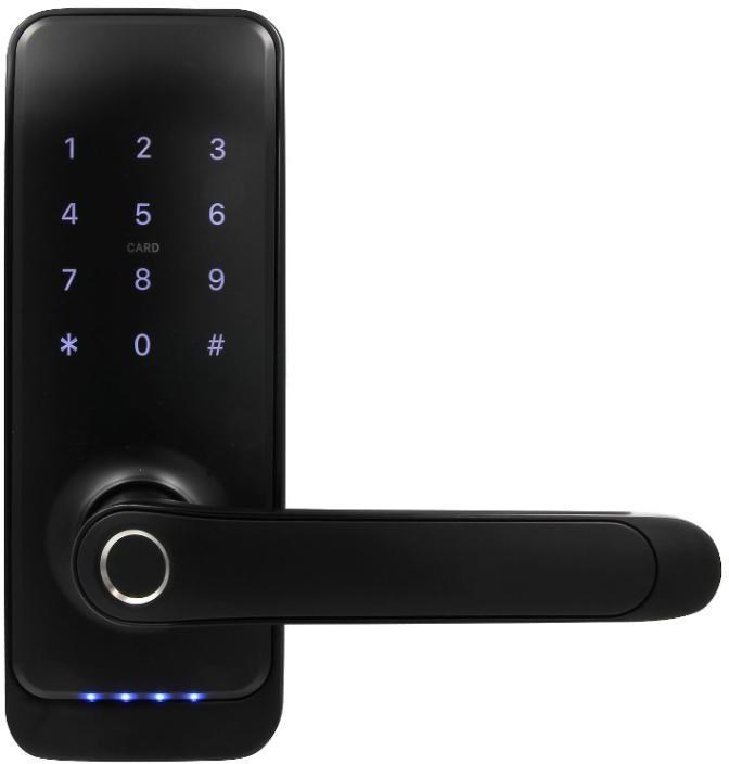 Handle with access controller EURA ELH-01H4 black Handle with access controller EURA ELH-01H4 black