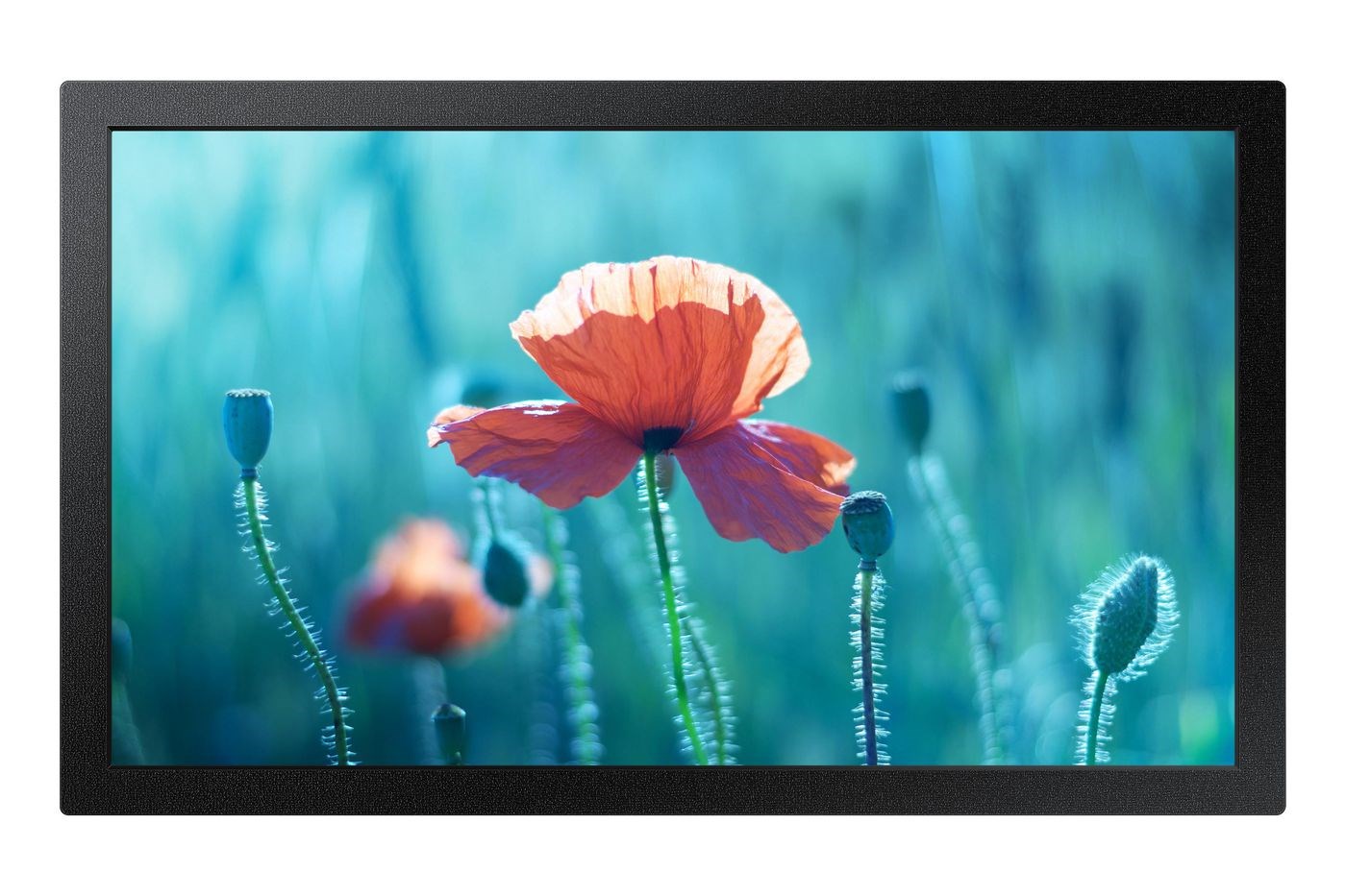 Samsung QB13R-M Digital signage flat panel 33 cm (13") LCD Wi-Fi 500 cd/m² Full HD Black Built-in processor Tizen 4.0 16/7 Samsung QB13R-M Digital signage flat panel 33 cm (13") LCD Wi-Fi 500 cd/m² Full HD Black Built-in processor Tizen 4.0 16/7