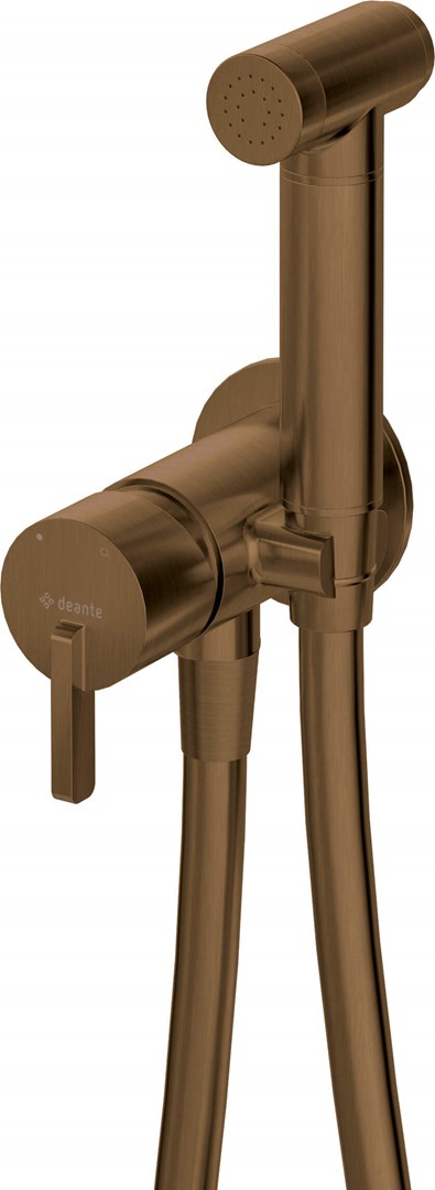 Concealed bidet mixer with bidetta receiver Concealed bidet mixer with bidetta receiver