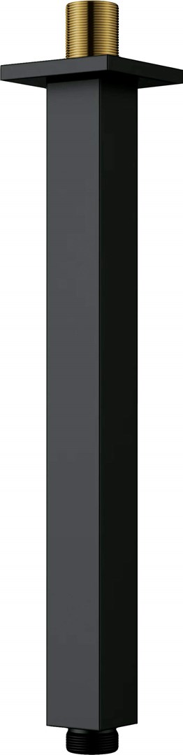 Ceiling shower spout - 250 mm Ceiling shower spout - 250 mm