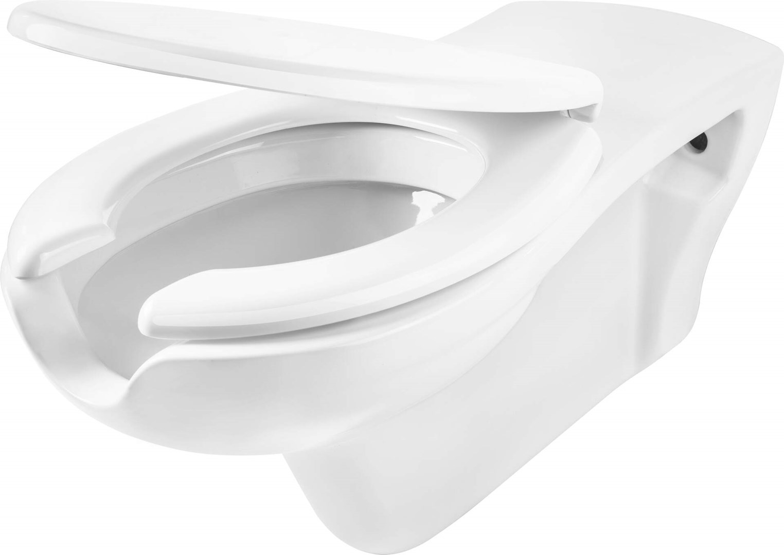 Wall-hung toilet for people with reduced mobility Wall-hung toilet for people with reduced mobility