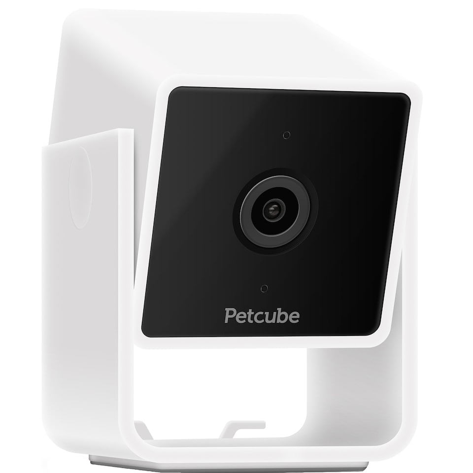 Pet cam with vet chat Petcube 1080P HD video night Pet cam with vet chat Petcube 1080P HD video night