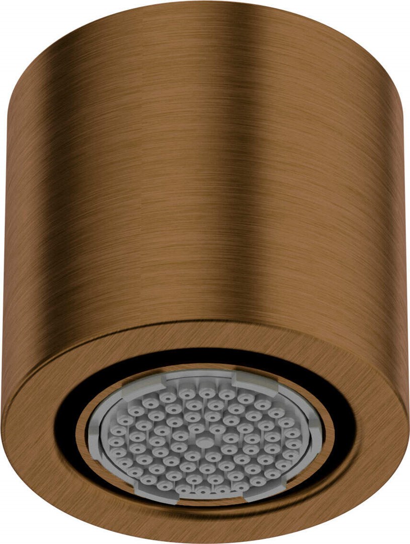 1-function shower head 1-function shower head