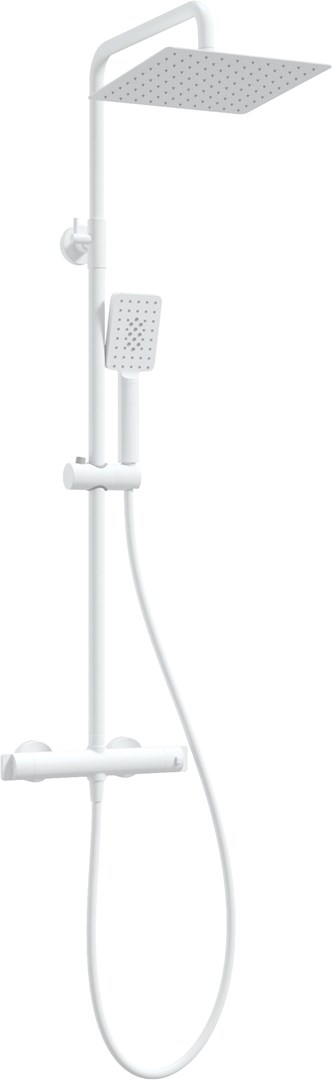 Showerhead w/ thermostatic shower mixer Showerhead w/ thermostatic shower mixer