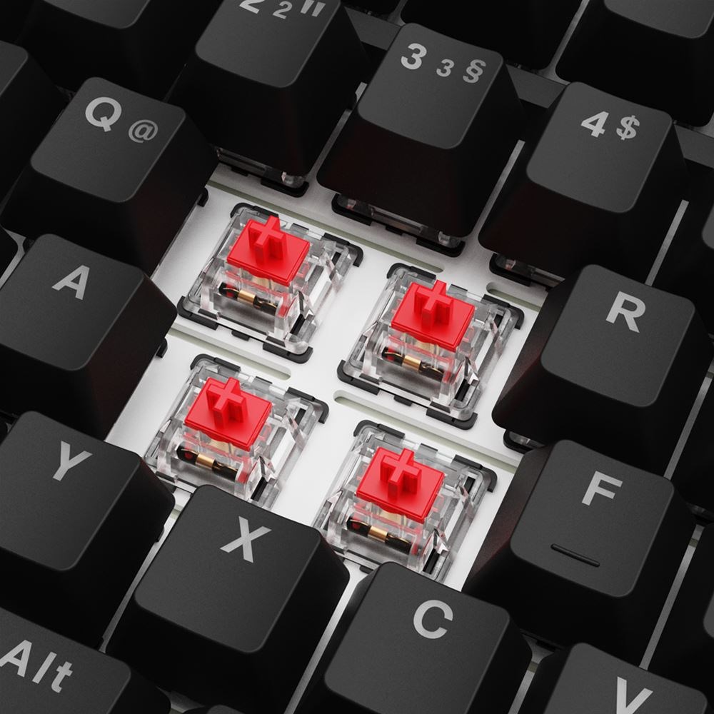 Sharkoon SGK25 keyboard Home USB QWERTZ German Black Sharkoon SGK25 keyboard Home USB QWERTZ German Black