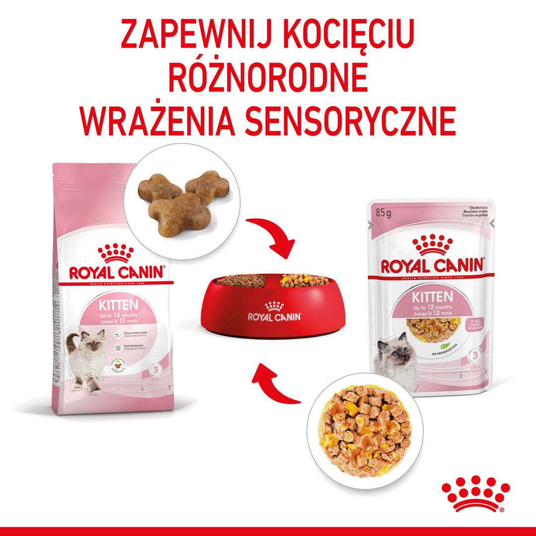 Royal Canin FHN Kitten Instinctive in jelly - wet food for kittens - 12x85g Royal Canin FHN Kitten Instinctive in jelly - wet food for kittens - 12x85g