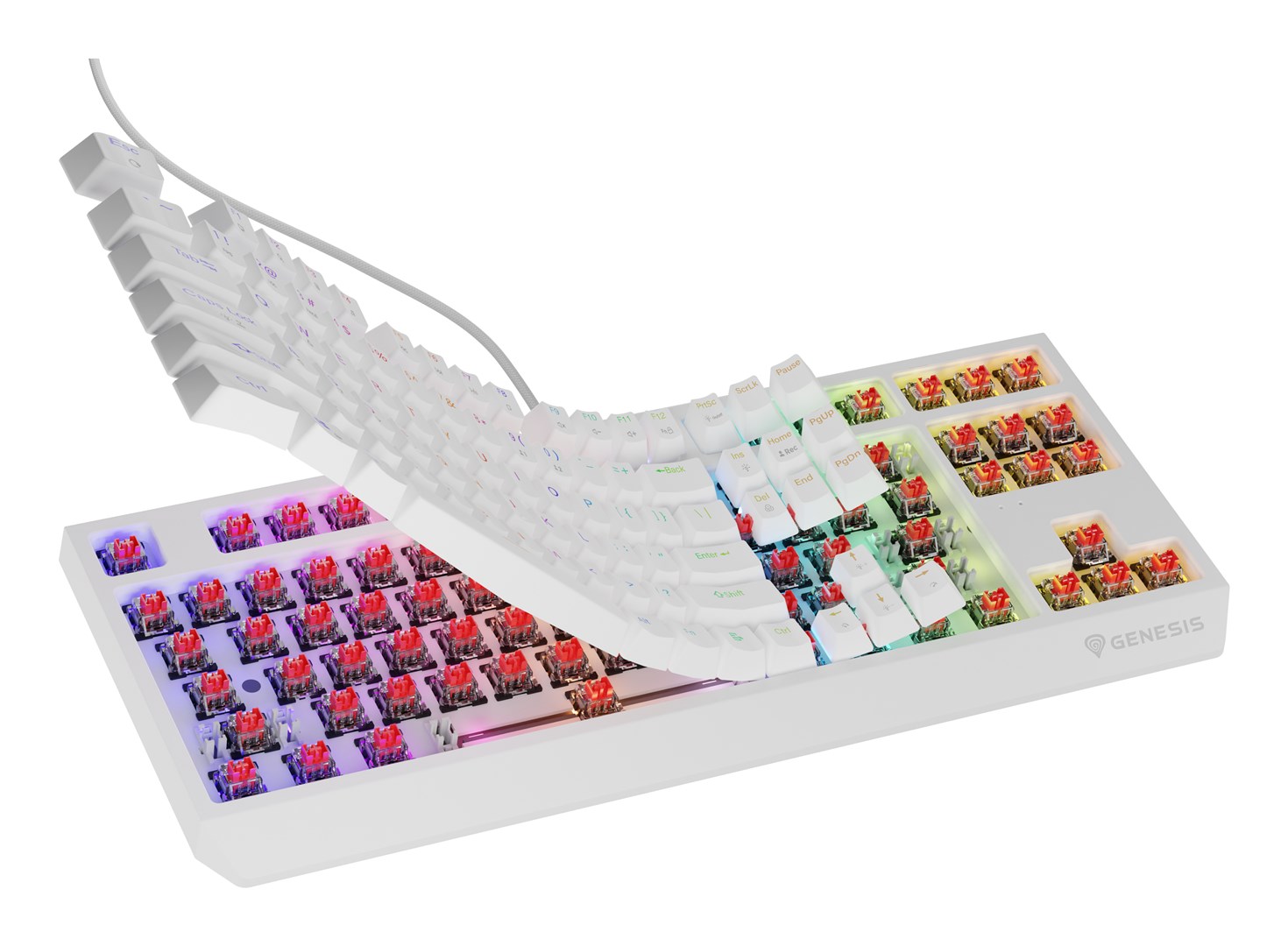 GENESIS Thor 230 TKL keyboard Gaming USB GENESIS Thor 230 TKL keyboard Gaming USB
