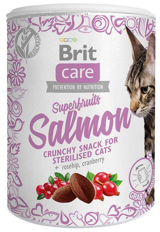 BRIT Care Superfruits Salmon - cat treats - 100 g BRIT Care Superfruits Salmon - cat treats - 100 g