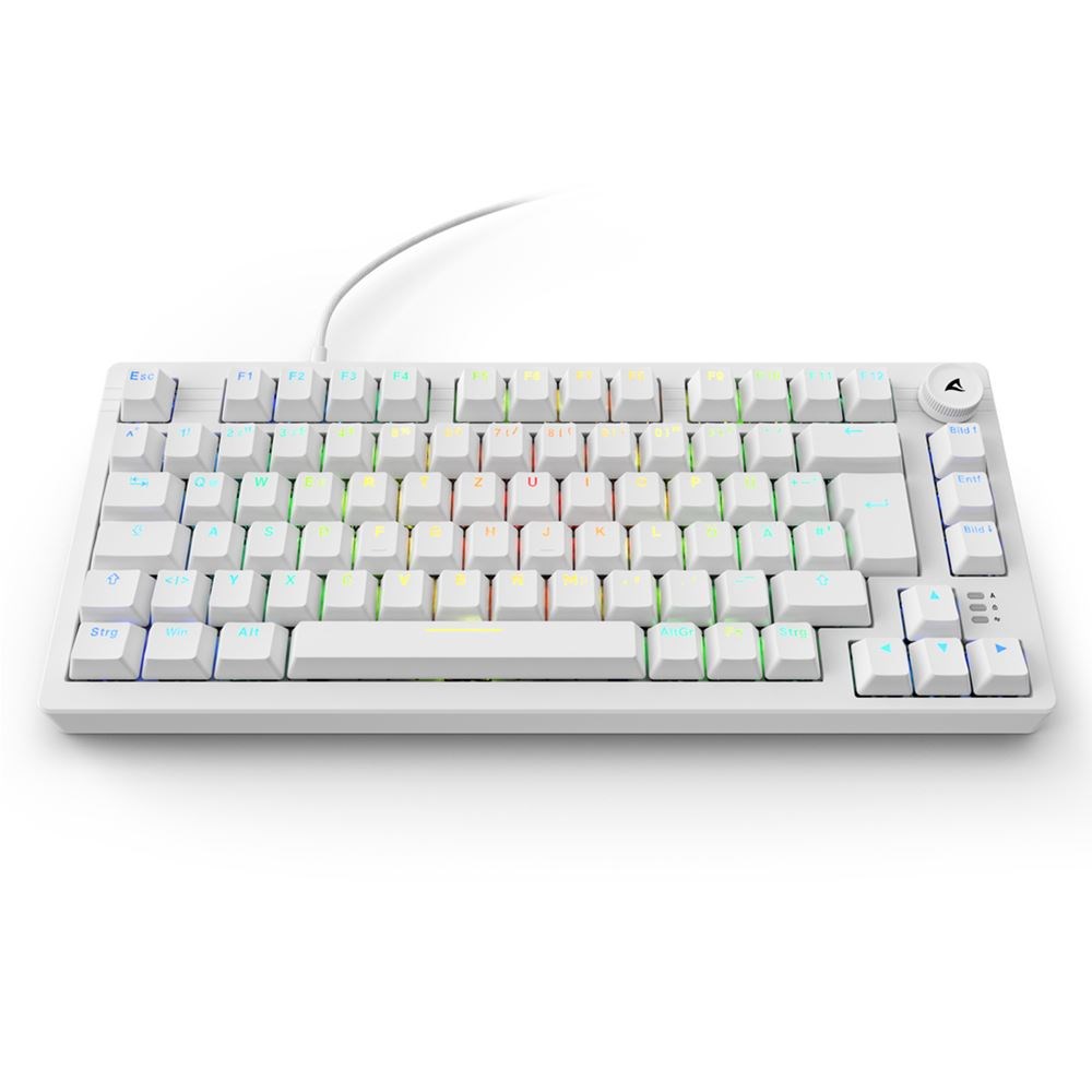 Sharkoon SGK25 keyboard Home USB QWERTZ German White Sharkoon SGK25 keyboard Home USB QWERTZ German White