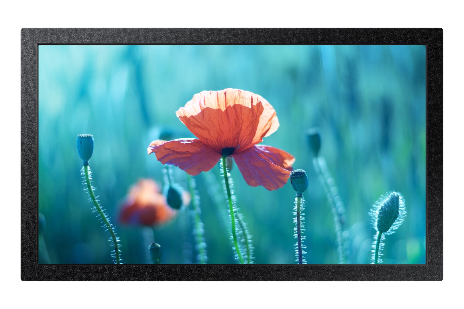 Samsung QB13R-M Digital signage flat panel 33 cm (13") LCD Wi-Fi 500 cd/m² Full HD Black Built-in processor Tizen 4.0 16/7 Samsung QB13R-M Digital signage flat panel 33 cm (13") LCD Wi-Fi 500 cd/m² Full HD Black Built-in processor Tizen 4.0 16/7