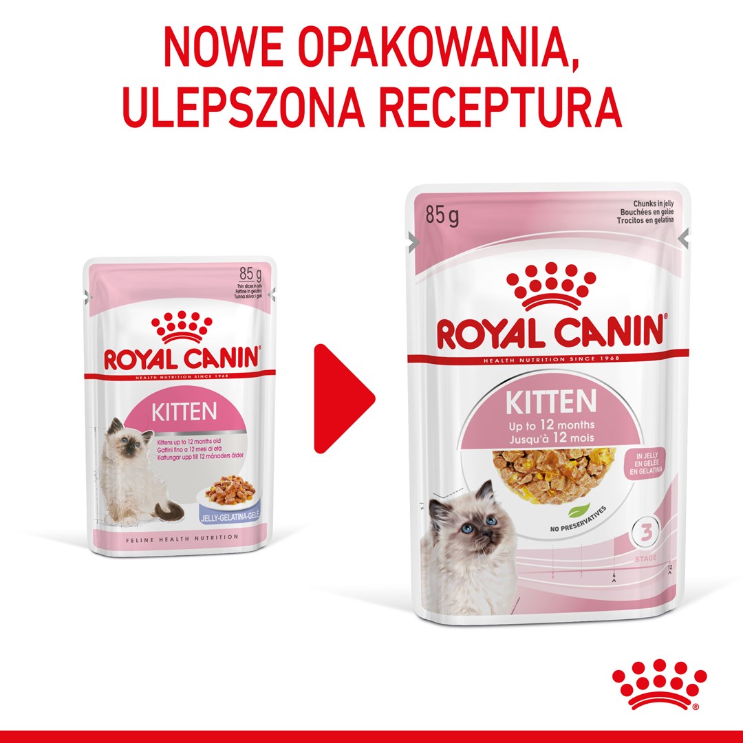Royal Canin FHN Kitten Instinctive in jelly - wet food for kittens - 12x85g Royal Canin FHN Kitten Instinctive in jelly - wet food for kittens - 12x85g