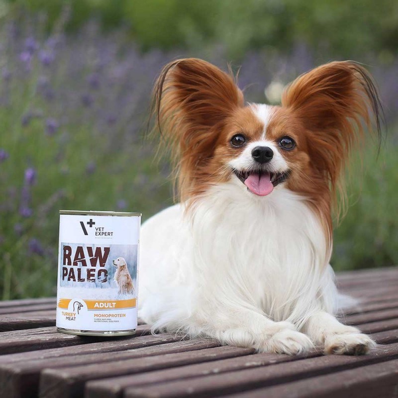 RAW PALEO Adult Monoprotein Turkey - wet dog food - 400 g RAW PALEO Adult Monoprotein Turkey - wet dog food - 400 g