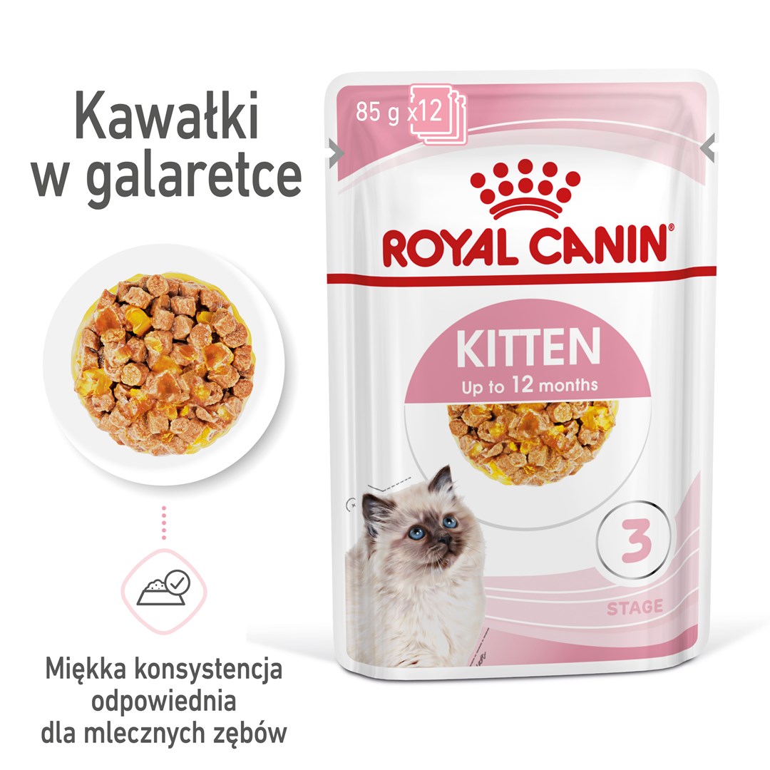 Royal Canin FHN Kitten Instinctive in jelly - wet food for kittens - 12x85g Royal Canin FHN Kitten Instinctive in jelly - wet food for kittens - 12x85g
