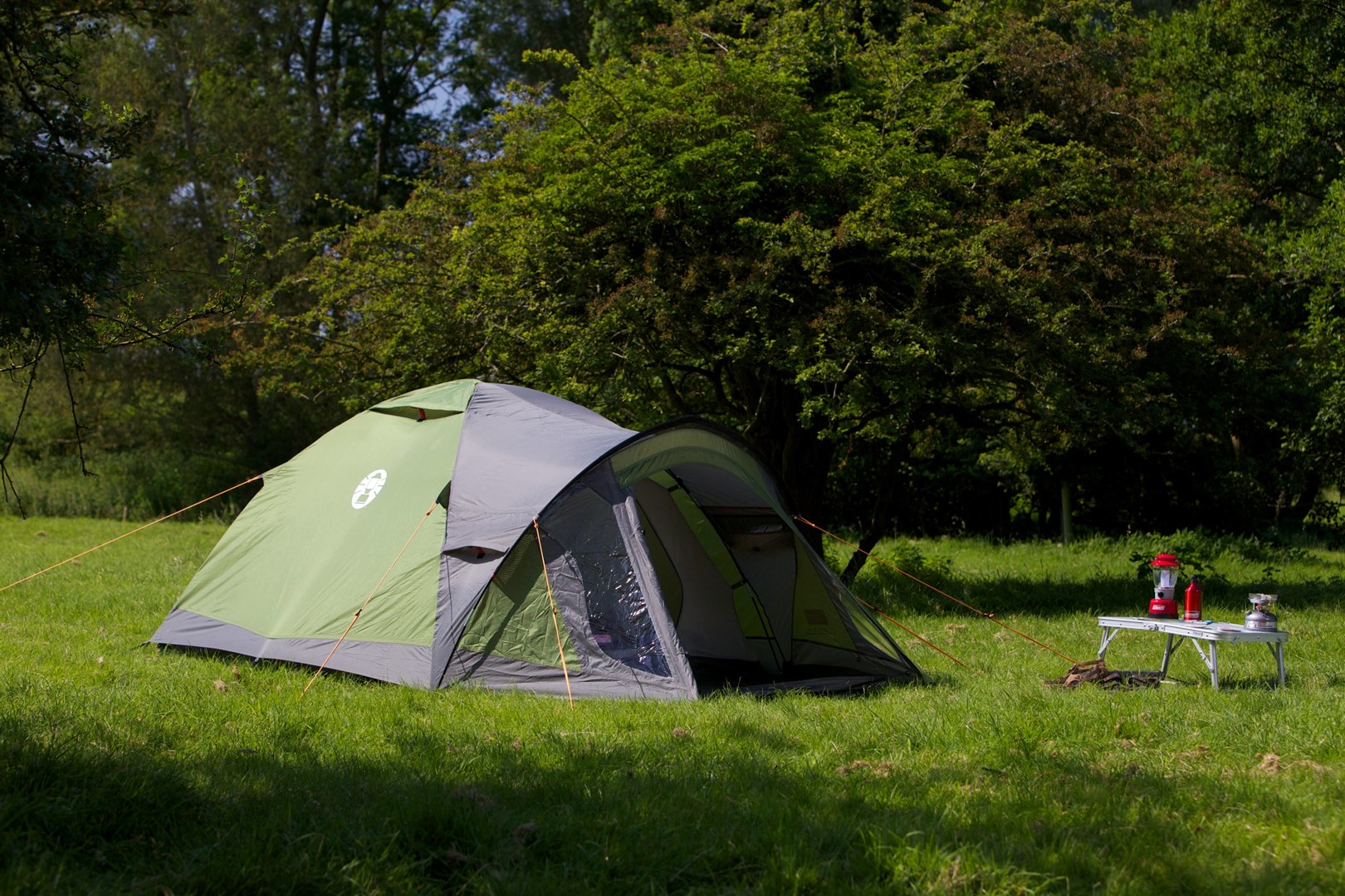 Coleman Darwin 3 Plus 3 person(s) Green, Grey Dome/Igloo tent Coleman Darwin 3 Plus 3 person(s) Green, Grey Dome/Igloo tent