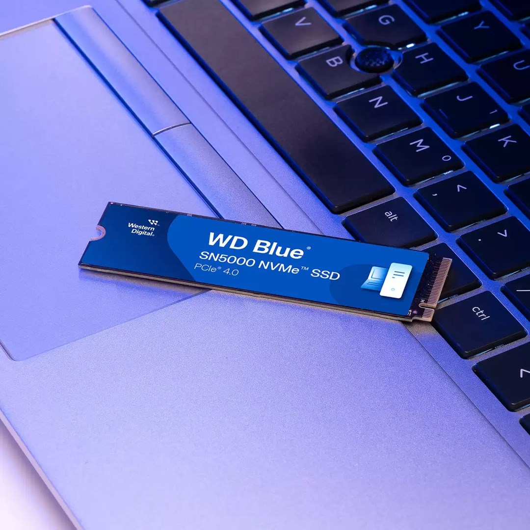 Western Digital Blue SN5000 500 GB M.2 PCI Express 4.0 NVMe 3D TLC NAND Western Digital Blue SN5000 500 GB M.2 PCI Express 4.0 NVMe 3D TLC NAND