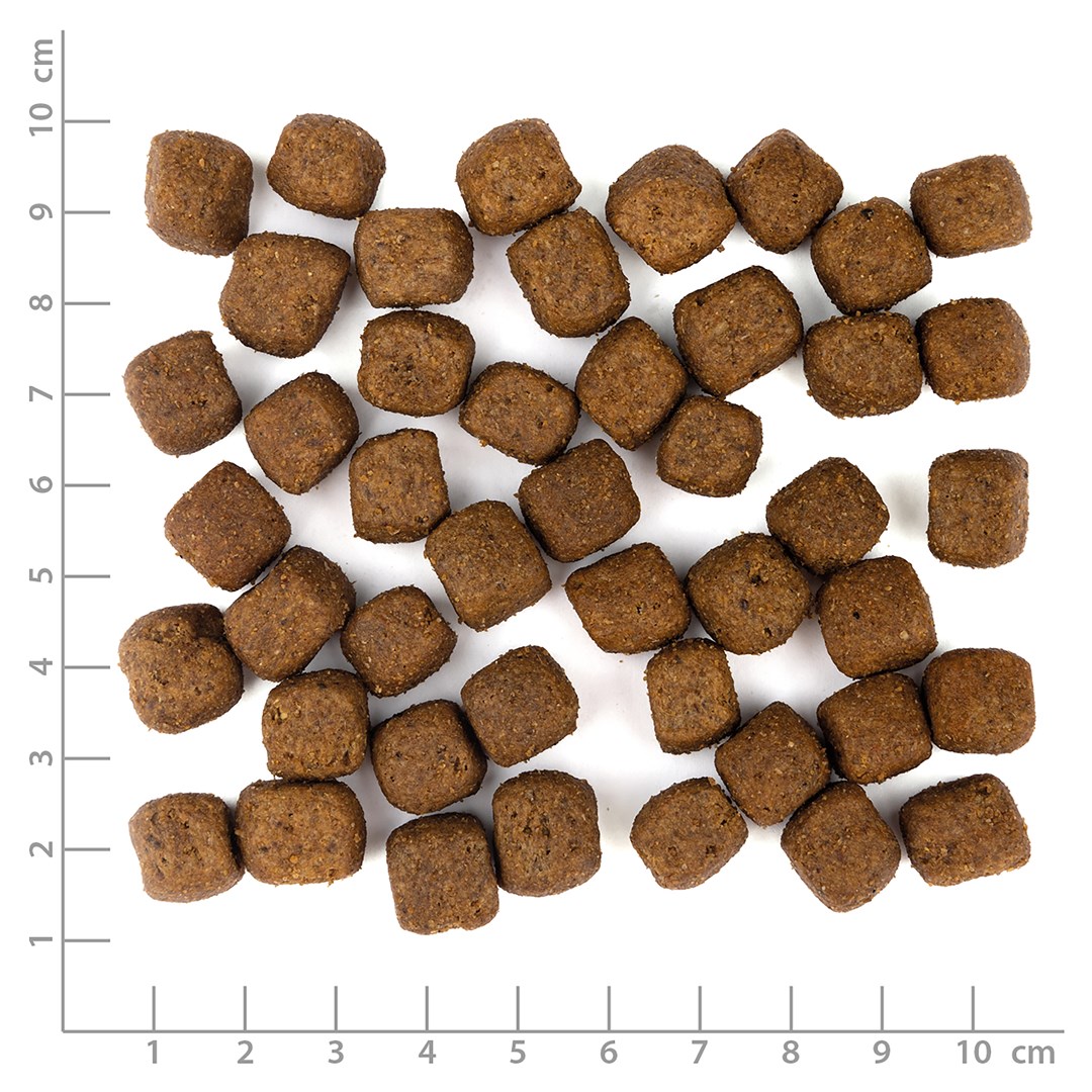WOLFSBLUT Grey Peak Goat with sweet potatoes - dry dog food - 12,5kg WOLFSBLUT Grey Peak Goat with sweet potatoes - dry dog food - 12,5kg