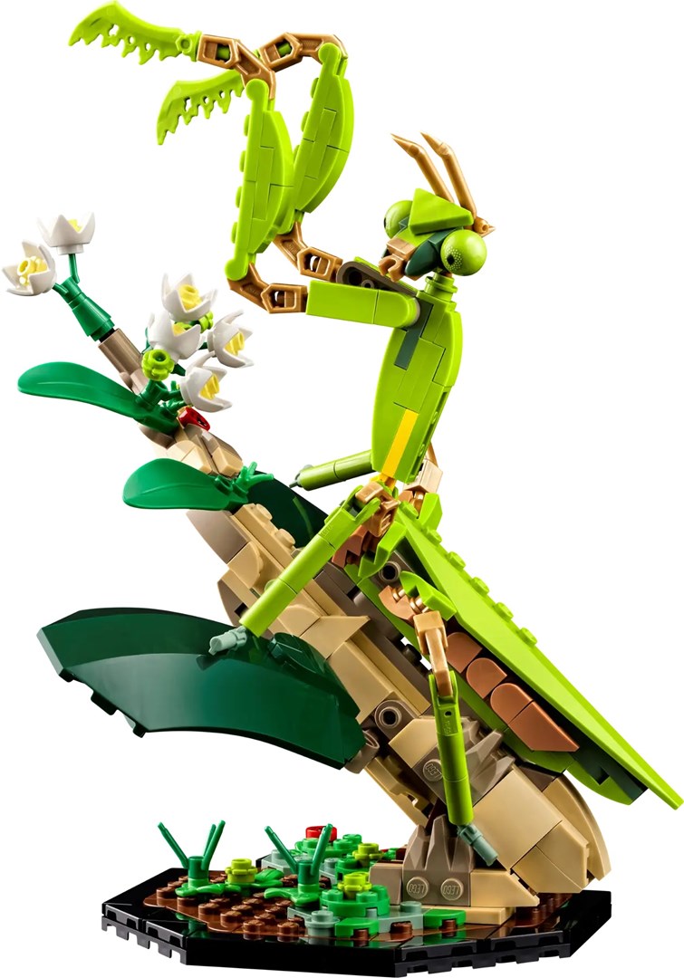 LEGO IDEAS 21342 The Insect Collection LEGO IDEAS 21342 The Insect Collection