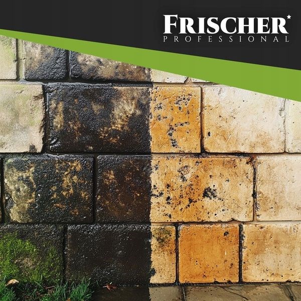 Frischer façade cleaner 1l Frischer façade cleaner 1l