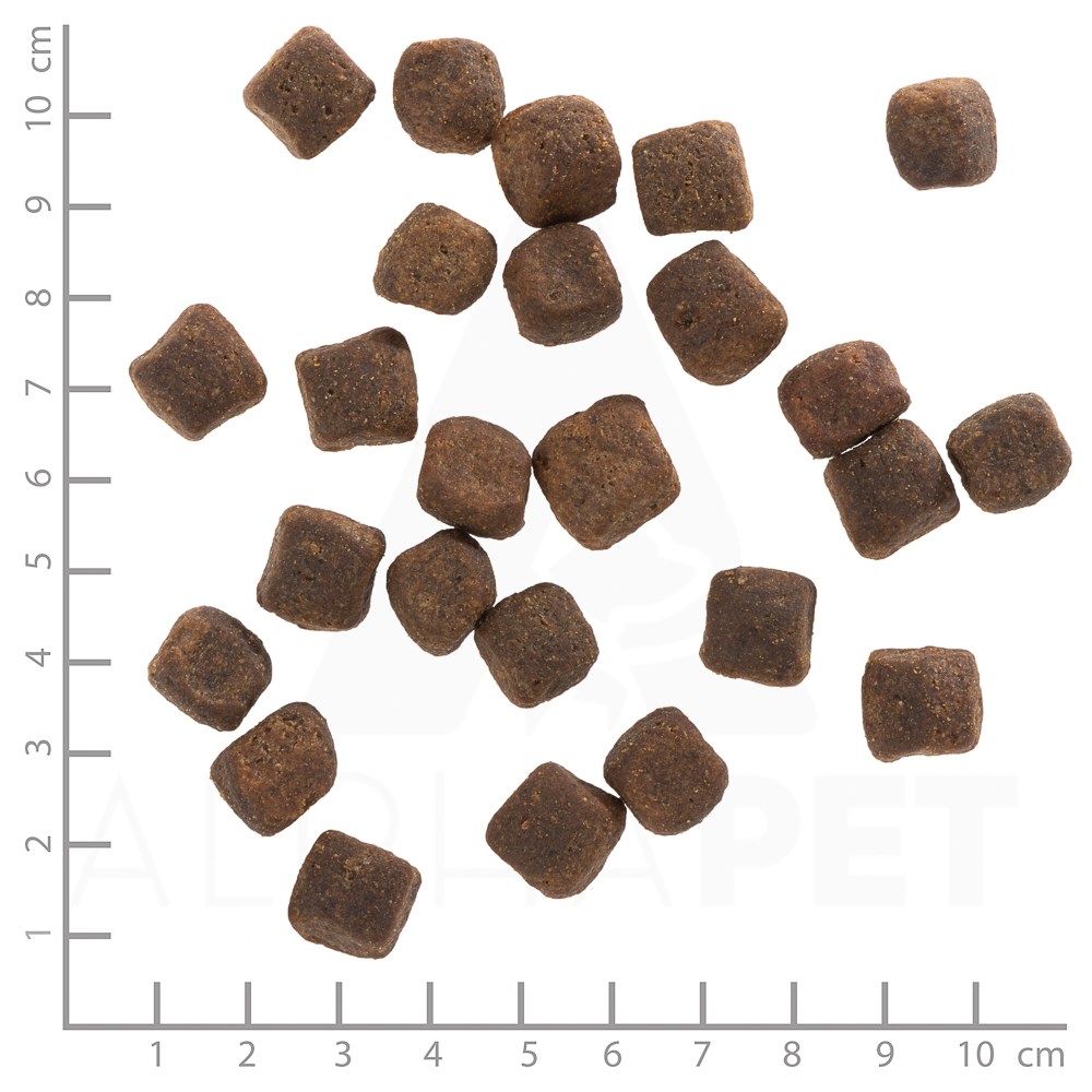 WOLFSBLUT Dark Forest Venison with sweet potatoes - dry dog food - 12,5kg WOLFSBLUT Dark Forest Venison with sweet potatoes - dry dog food - 12,5kg