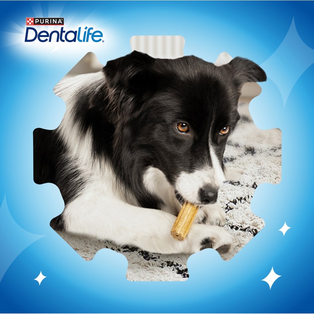 PURINA Dentalife Extra Mini - Dental snack for dogs - 69 g PURINA Dentalife Extra Mini - Dental snack for dogs - 69 g