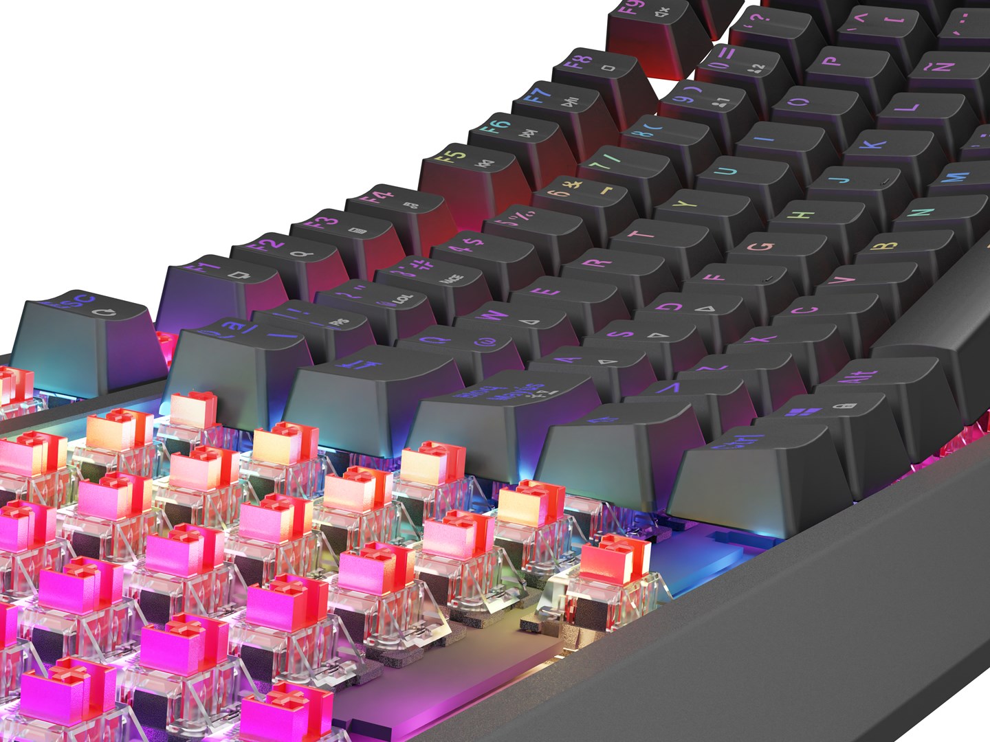GENESIS Thor 230 TKL keyboard Gaming USB QWERTY Spanish Black GENESIS Thor 230 TKL keyboard Gaming USB QWERTY Spanish Black