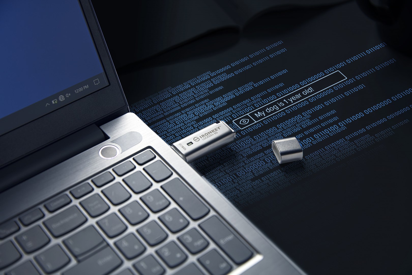 Kingston Technology IronKey 128GB IKLP50 AES USB, w/256bit Encryption Kingston Technology IronKey 128GB IKLP50 AES USB, w/256bit Encryption