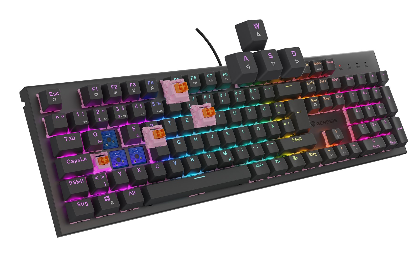 GENESIS NKG-2179 keyboard Gaming USB QWERTZ German Black GENESIS NKG-2179 keyboard Gaming USB QWERTZ German Black