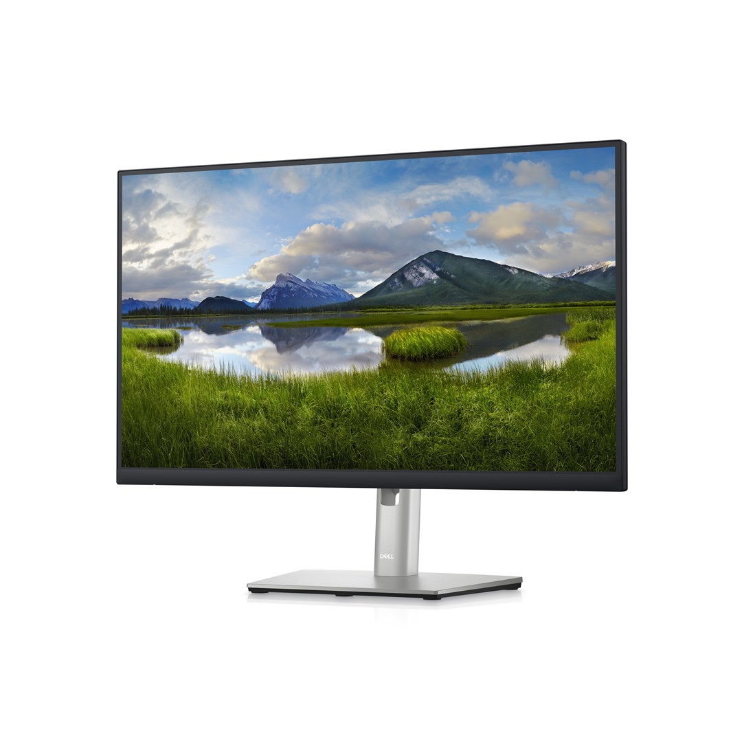 DELL P Series 24 USB-C Hub Monitor - P2423DE DELL P Series 24 USB-C Hub Monitor - P2423DE