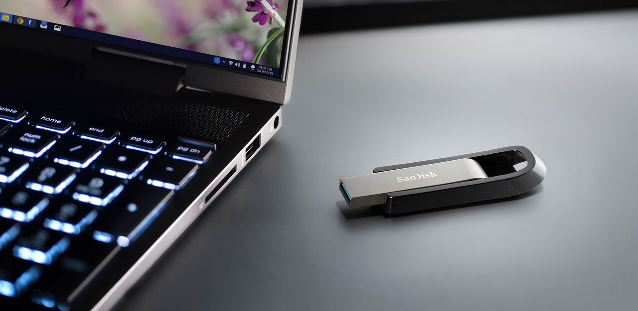 SanDisk Extreme Go USB flash drive 256 GB USB Type-A 3.2 Gen 1 (3.1 Gen 1) Stainless steel SanDisk Extreme Go USB flash drive 256 GB USB Type-A 3.2 Gen 1 (3.1 Gen 1) Stainless steel